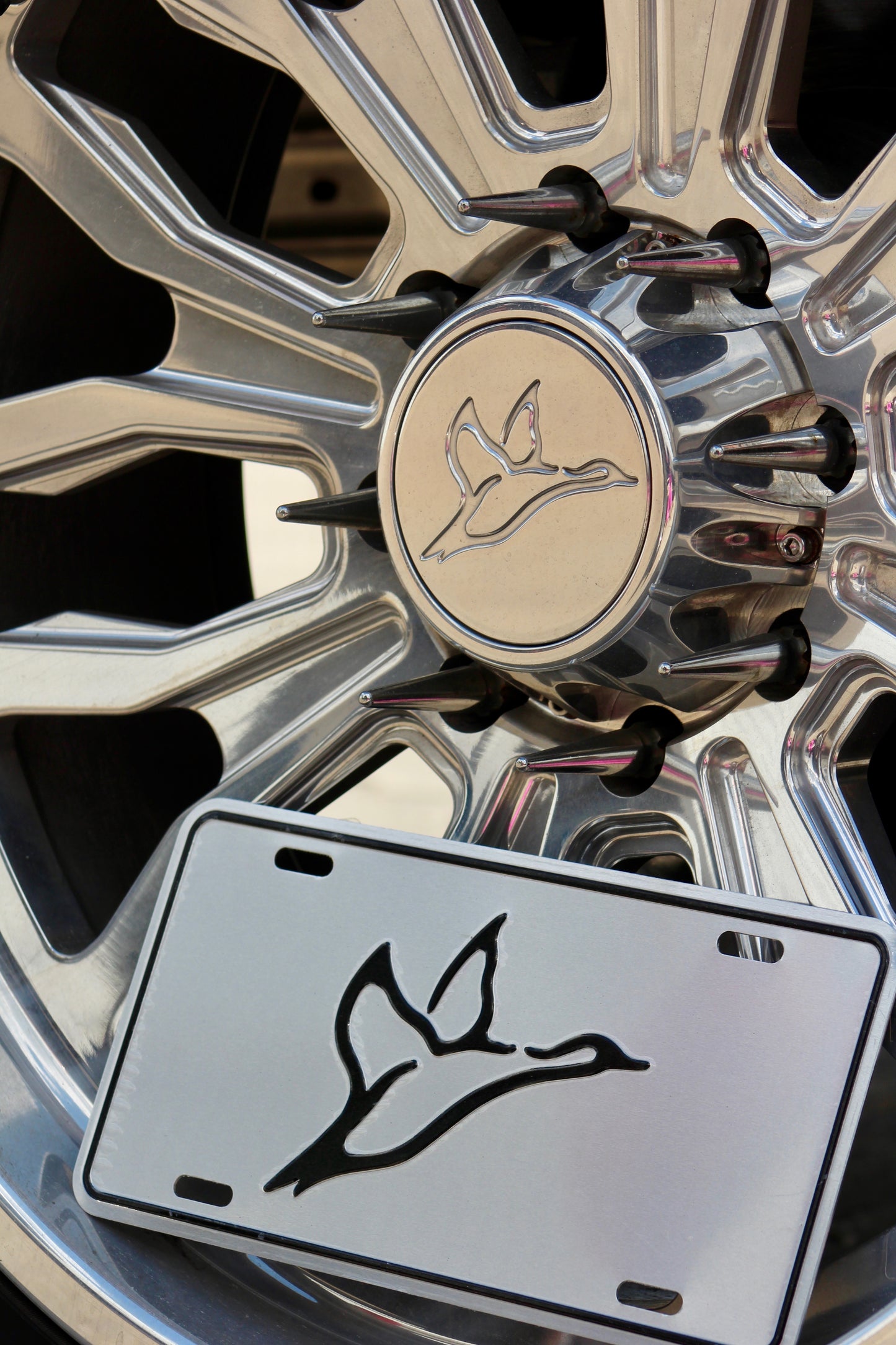 Chrome License Plate