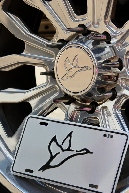 Chrome License Plate